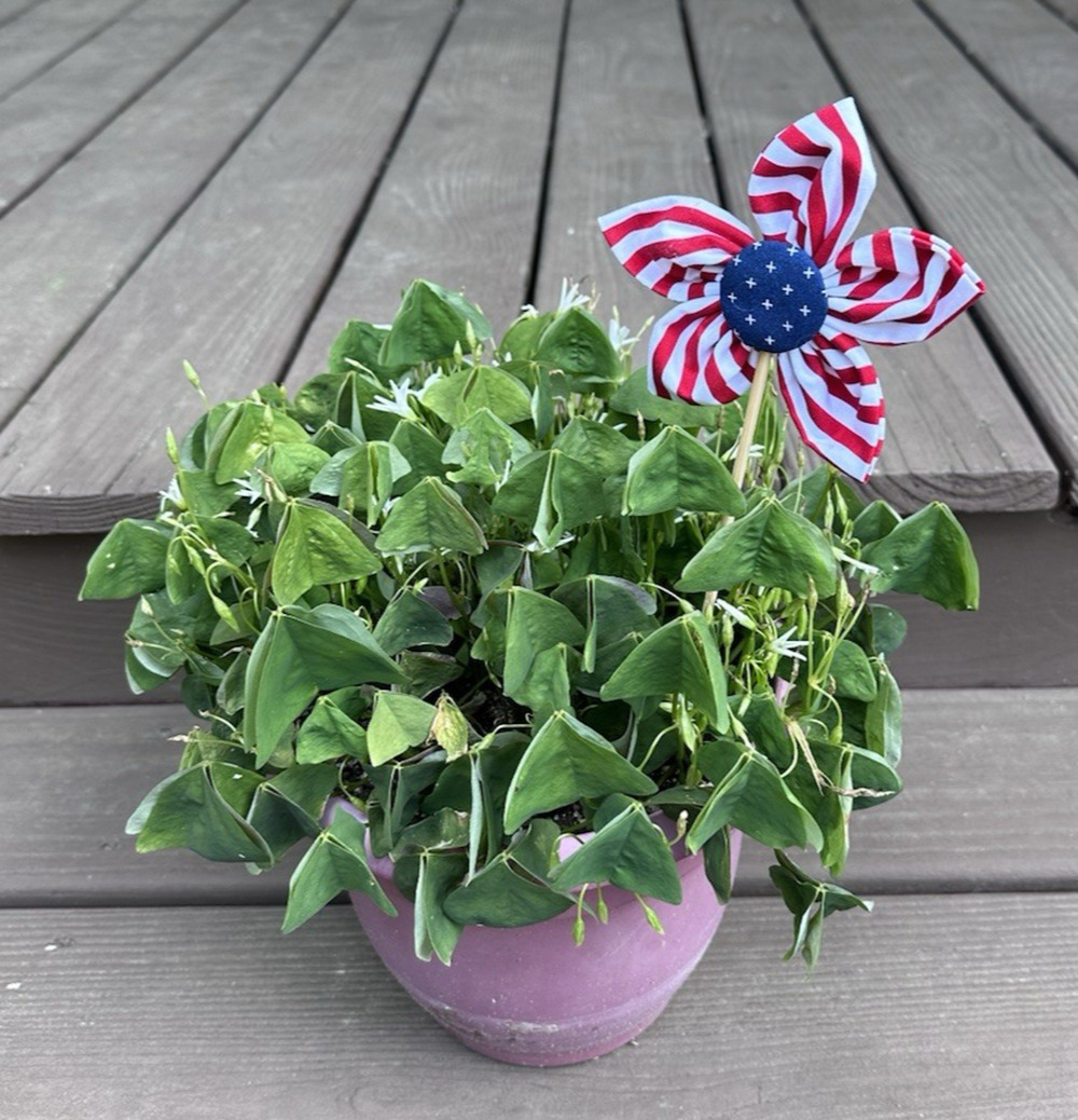 Set of 3 Patriotic Fabric Flower Spikes Decor Handmade Red White Blue
